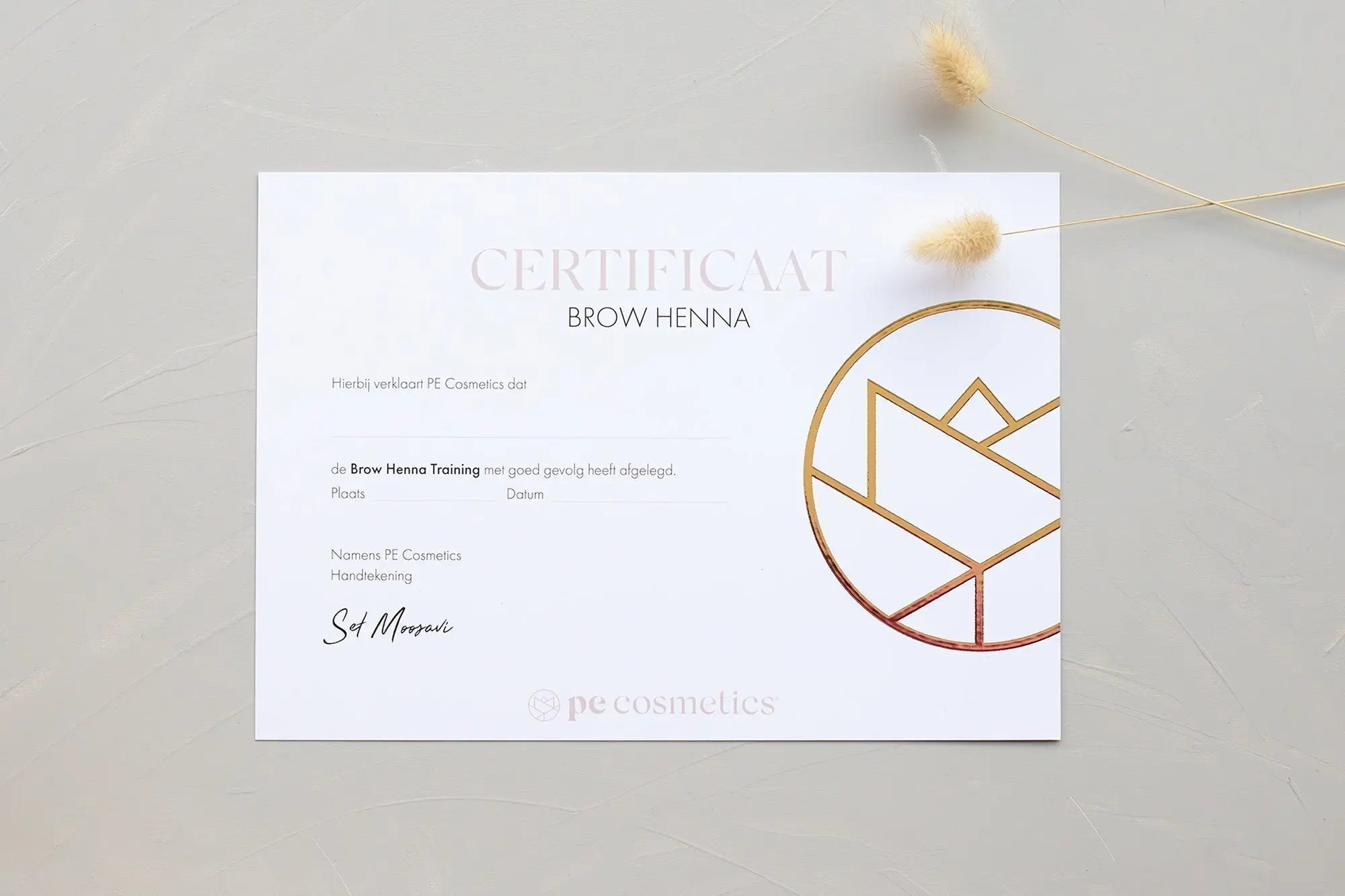 Brow Henna - Liège (B) - PE Cosmetics