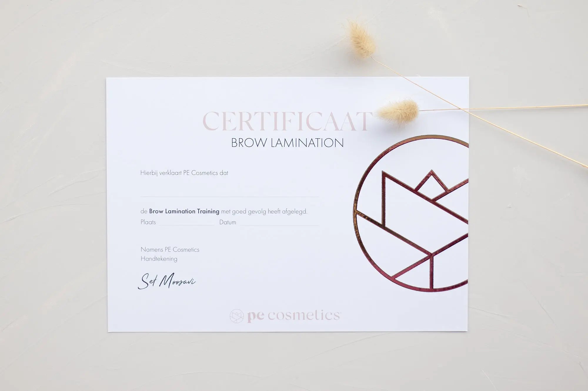 Brow Lamination - Nijmegen - PE Cosmetics