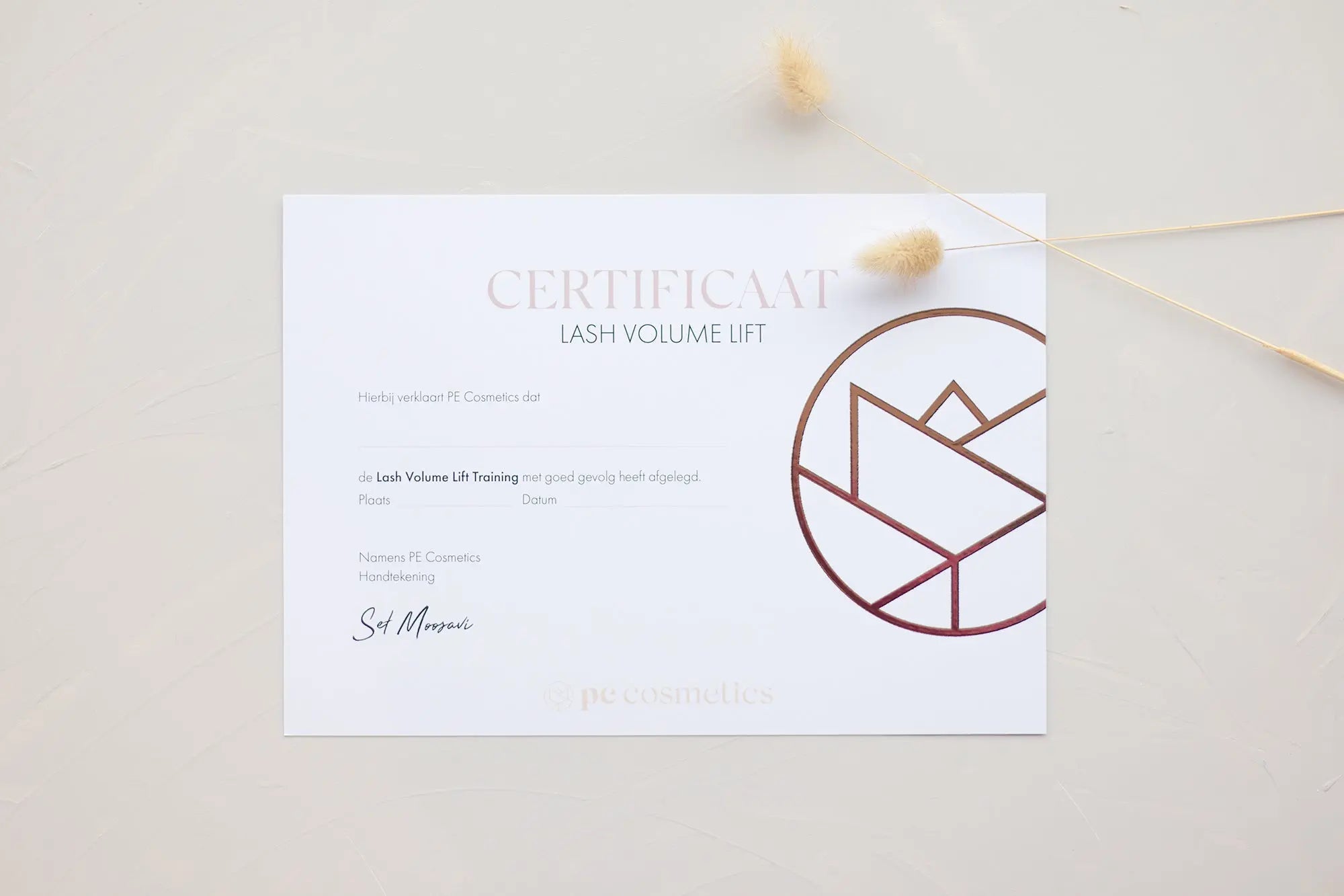 Lash Volume Lift - Training - PE Cosmetics