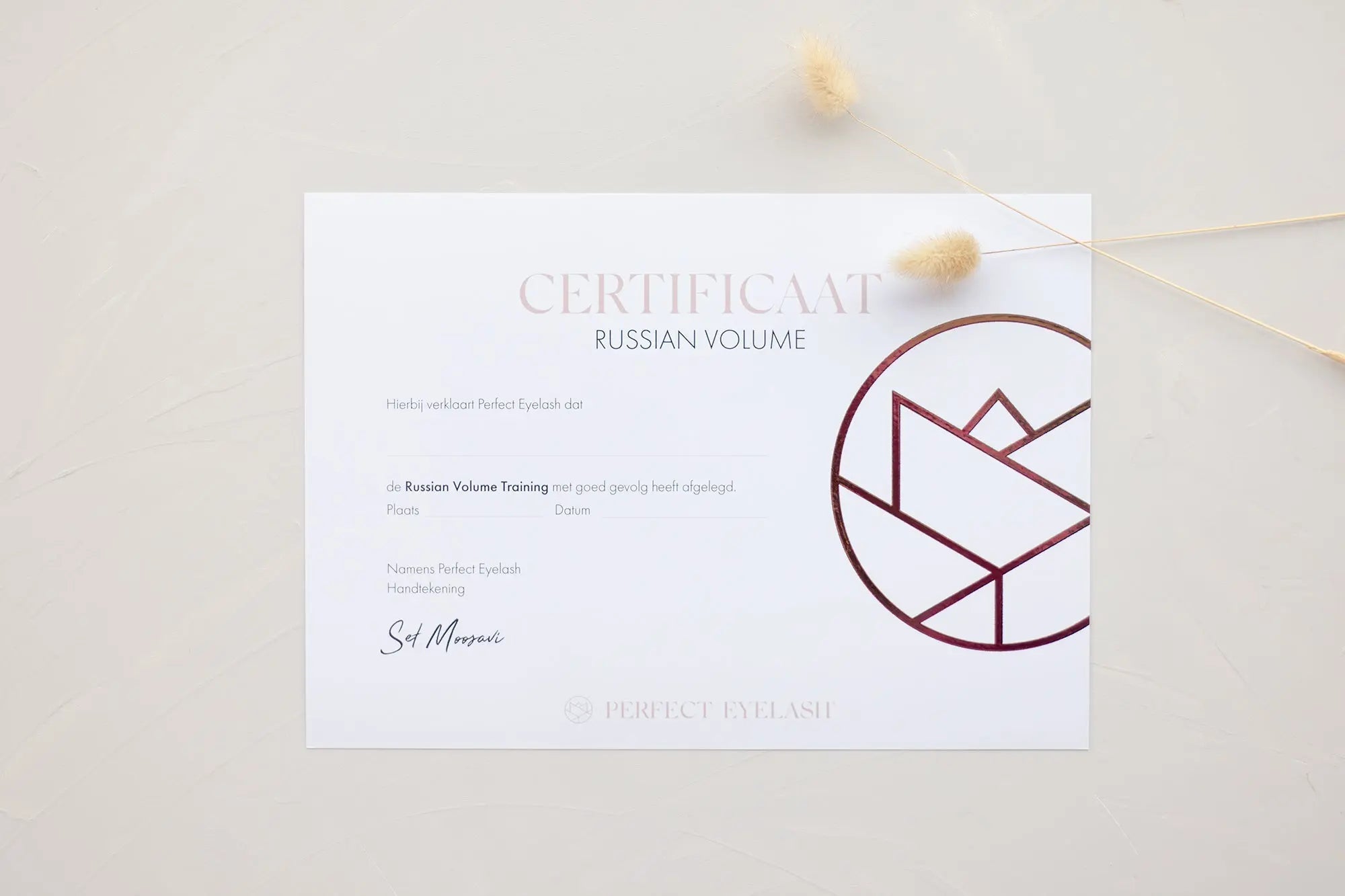 Volume 2D - 6D - Training - PE Cosmetics