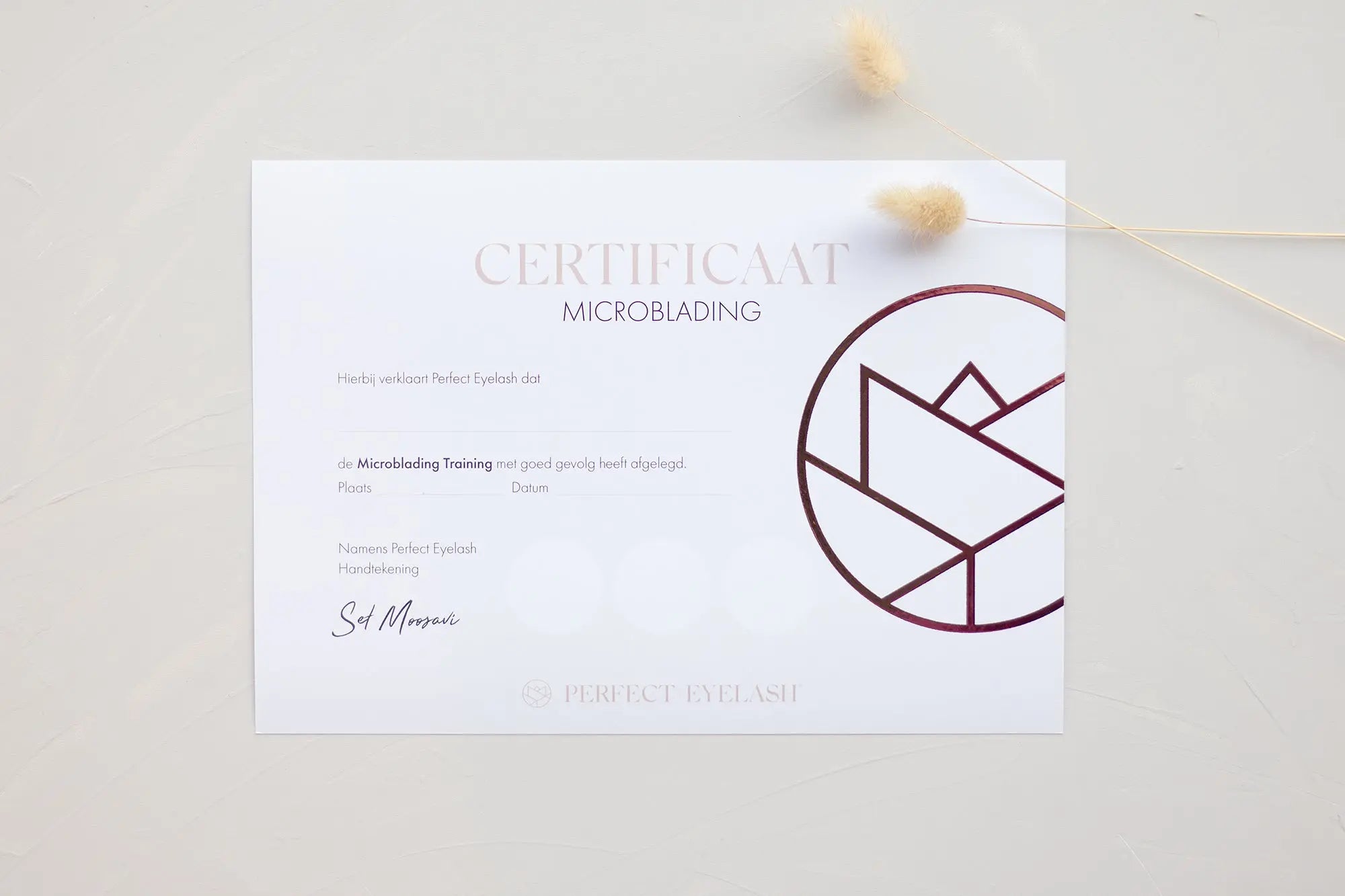 Microblading - Wolvertem (B) - PE Cosmetics