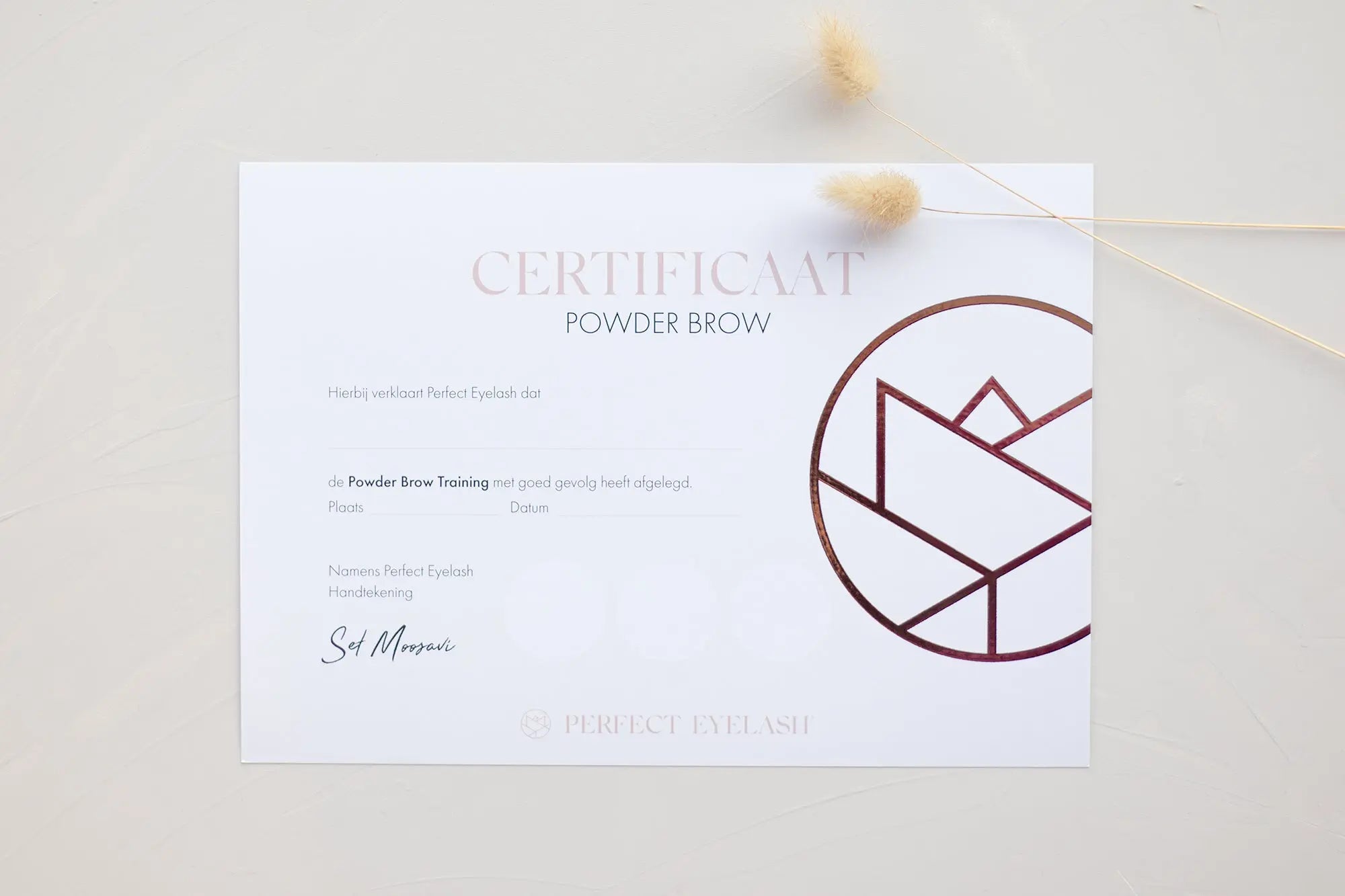 Ombre Powder Brows - Antwerpen (B) - PE Cosmetics