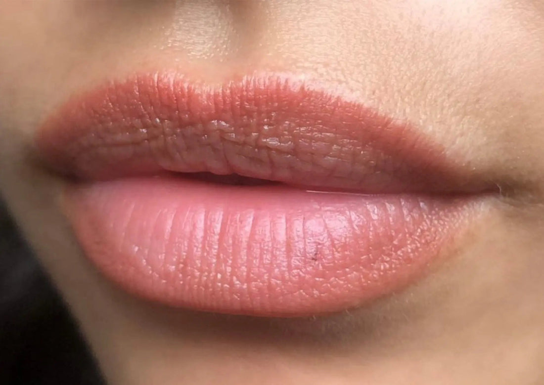 Lippigmentation - PE Cosmetics