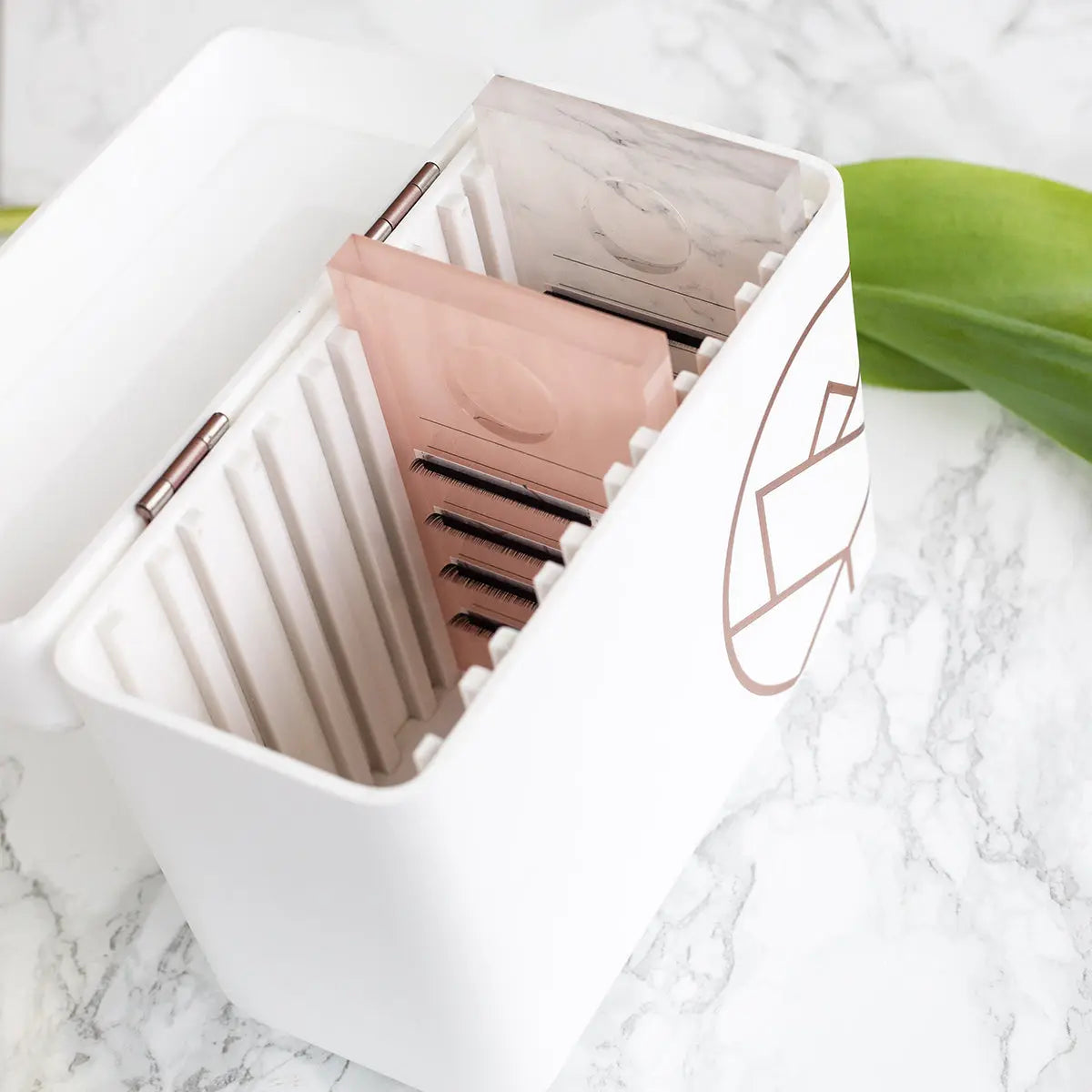 Wimpernträger Lagerung – PE Cosmetics Global